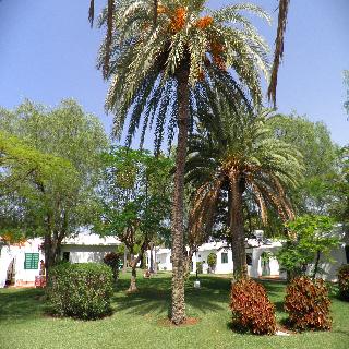 Canary Garden Club
