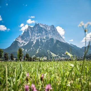 Lärchenhof fotoÄŸrafÄ±