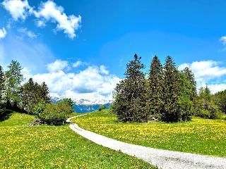 Grünwalderhof fotoÄŸrafÄ±