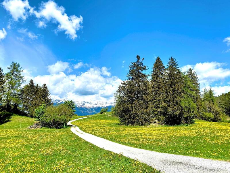 Grünwalderhof - Aktivite