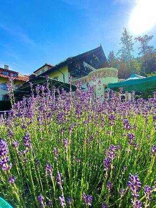 Grünwalderhof fotoÄŸrafÄ±