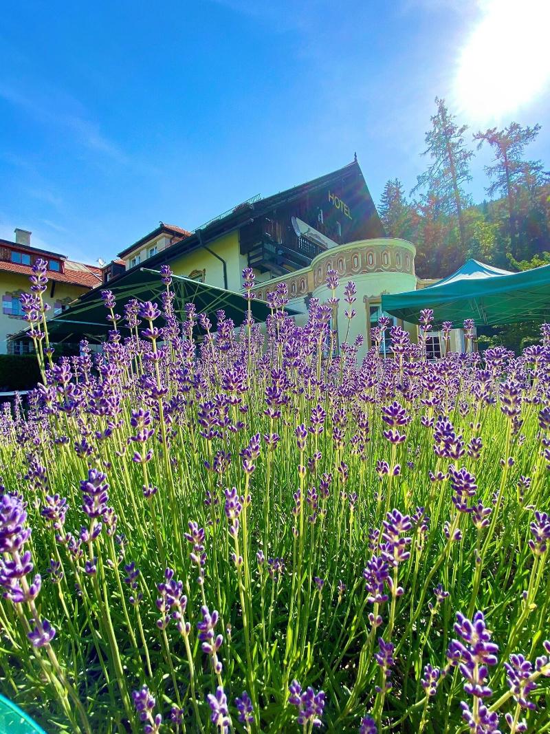Grünwalderhof - Teras