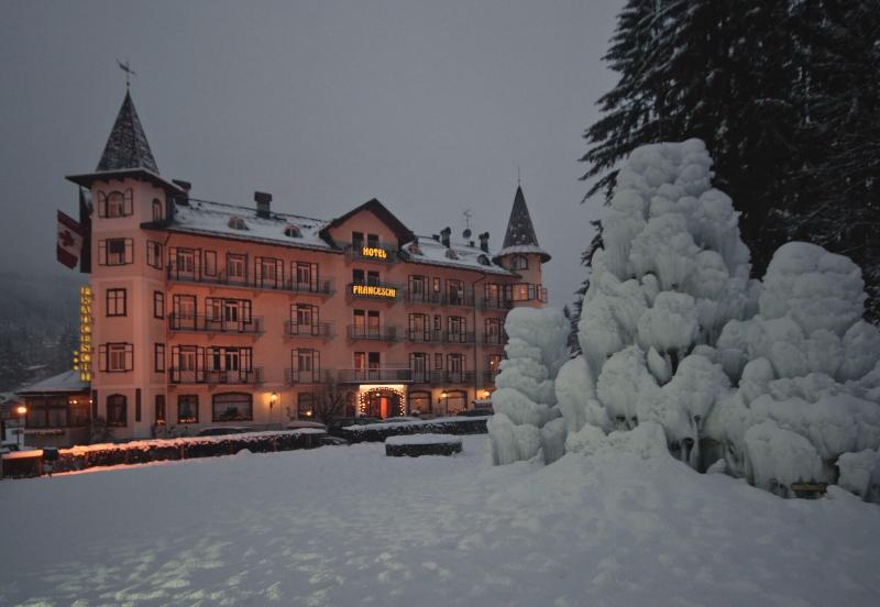 Franceschi Park Hotel - Genel