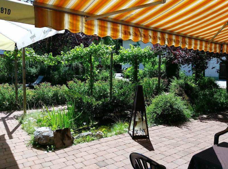 Activ-Pension Bergfrieden - Teras