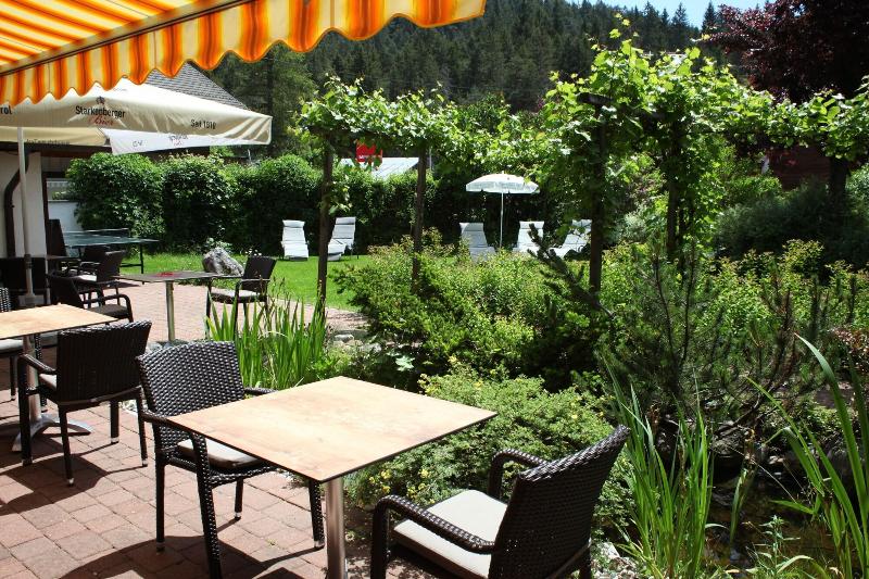 Activ-Pension Bergfrieden - Teras