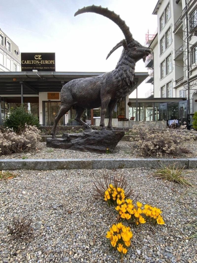 Carlton-Europe Vintage Adults Hotel - Genel