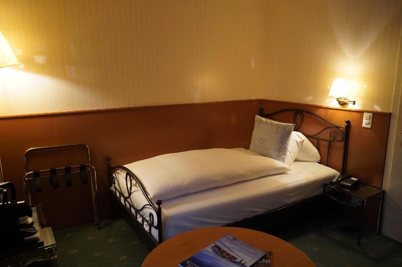 Carlton-Europe Vintage Adults Hotel - Oda