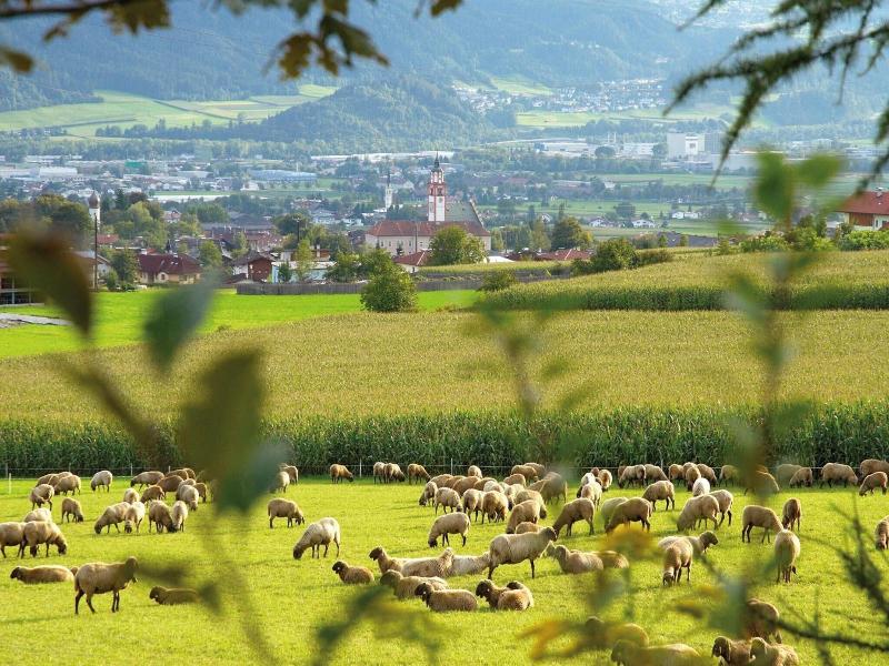 Landgasthof Bogner - Genel