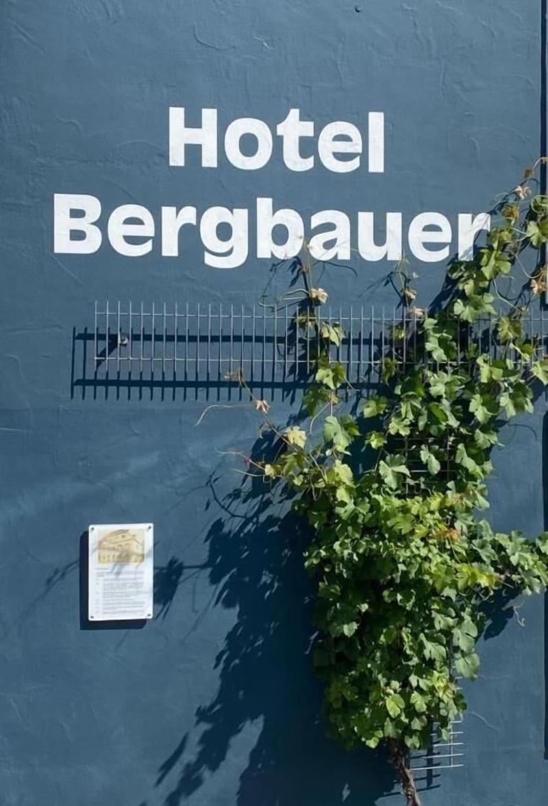 Bergbauer - Genel