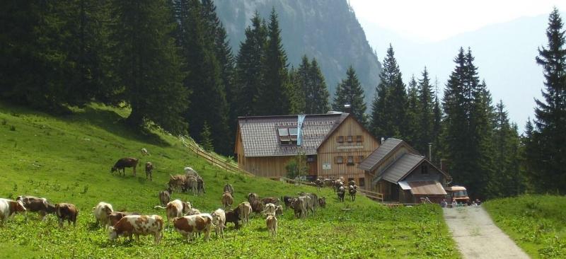 Der Tannenhof - Aktivite