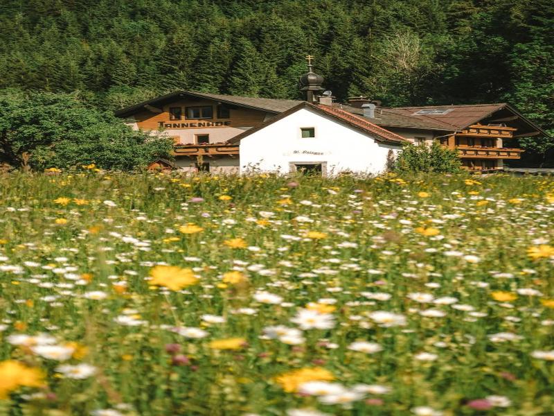 Der Tannenhof - Genel