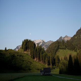 Der Tannenhof fotoÄŸrafÄ±