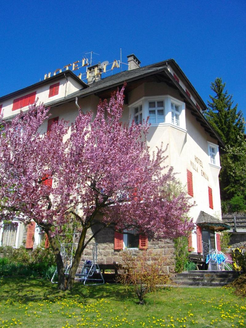 Villa Emilia - Genel