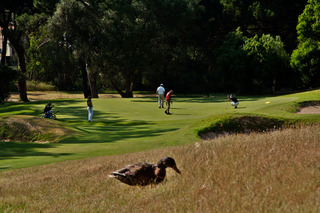 Palacio Estoril Hotel, Golf & Wellness fotoÄŸrafÄ±