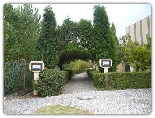 Curia Clube fotoÄŸrafÄ±