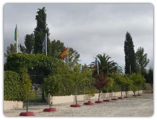 Curia Clube fotoÄŸrafÄ±