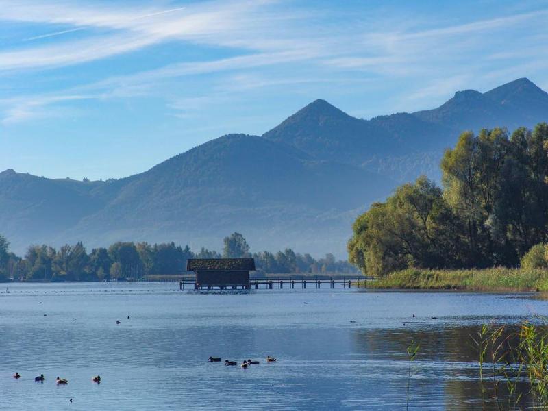 Zum Fischer am See - Genel
