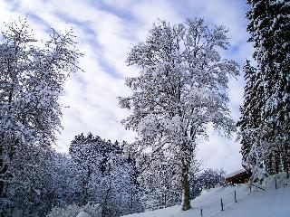Gasthof Braun fotoÄŸrafÄ±
