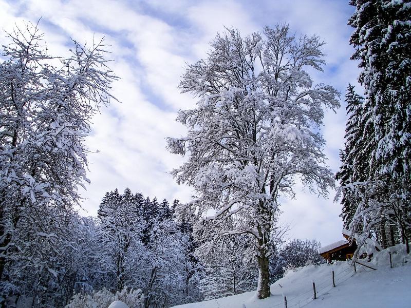 Gasthof Braun - Genel