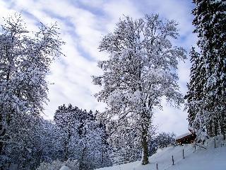 Gasthof Braun fotoÄŸrafÄ±