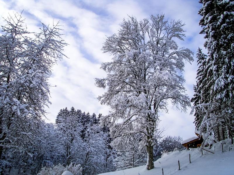Gasthof Braun - Genel