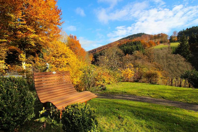 Gasthof Braun - Teras