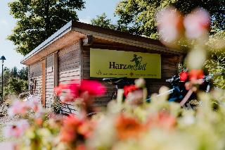 Torfhaus Harzresort fotoÄŸrafÄ±