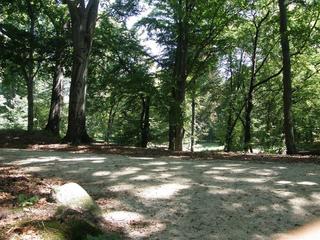 Waldhotel Roggosen fotoÄŸrafÄ±