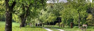 Familotel Villa Waldeck fotoÄŸrafÄ±