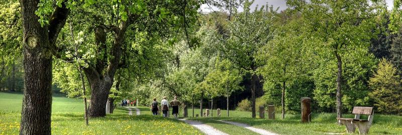 Familotel Villa Waldeck - Aktivite