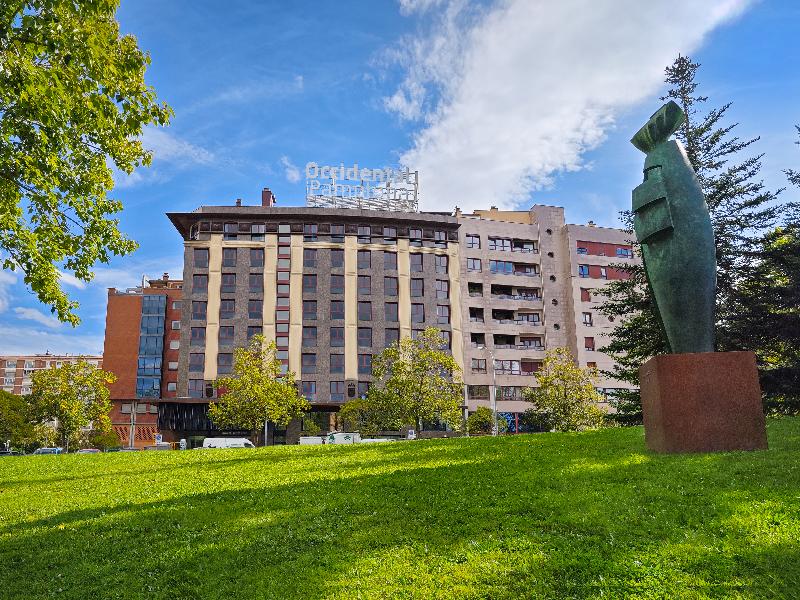 Occidental Pamplona - Genel