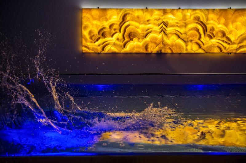 Luxury Spa & Wellness Hotel Prezident - Aktivite