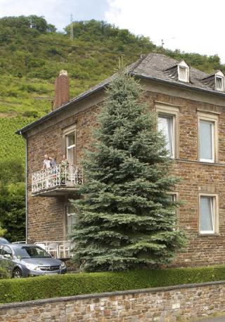 Schloss Hotel Petry fotoÄŸrafÄ±