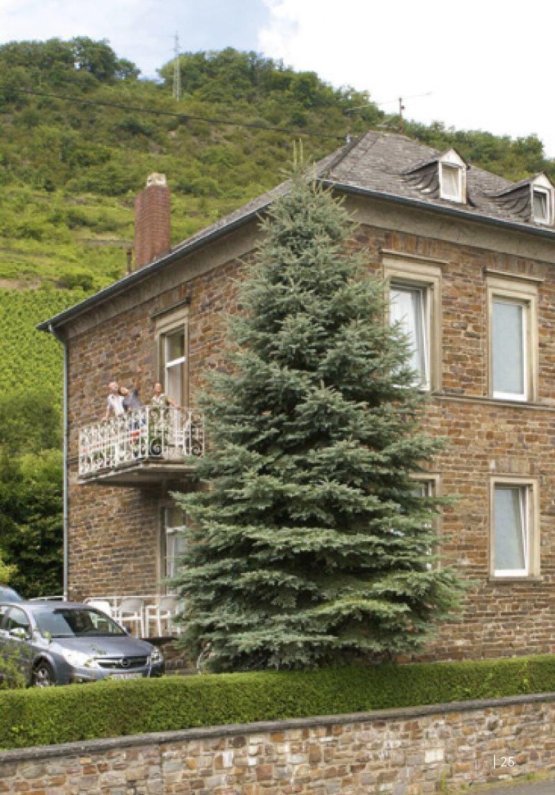 Schloss Hotel Petry - Genel