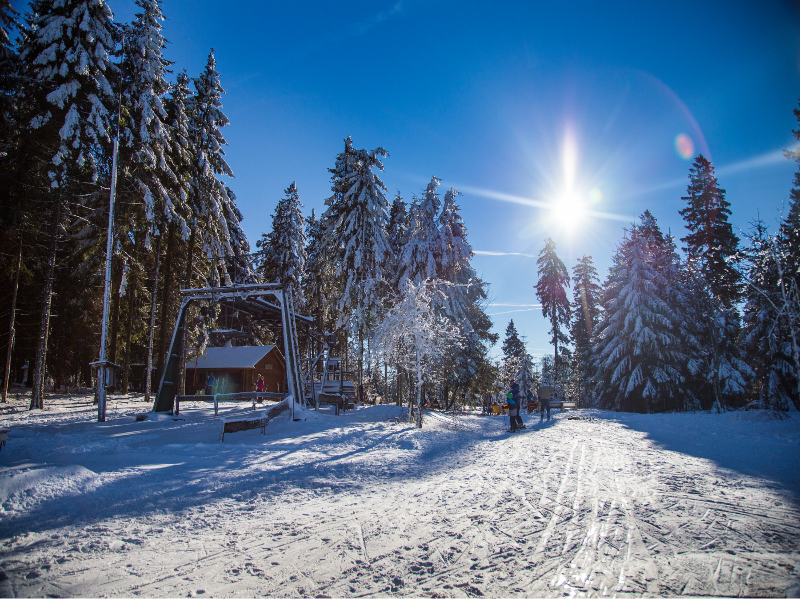 Sauerland Alpin Hotel - Aktivite