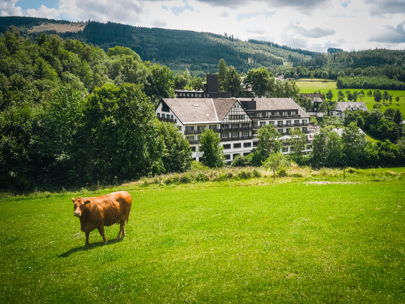 Sauerland Alpin Hotel - Genel