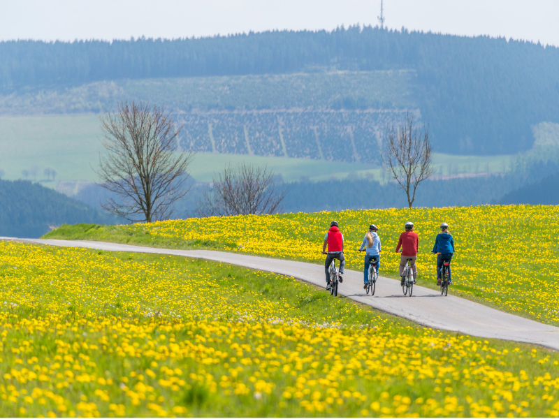 Sauerland Alpin Hotel - Genel