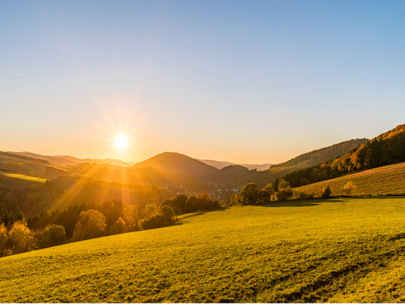 Sauerland Alpin Hotel - Genel