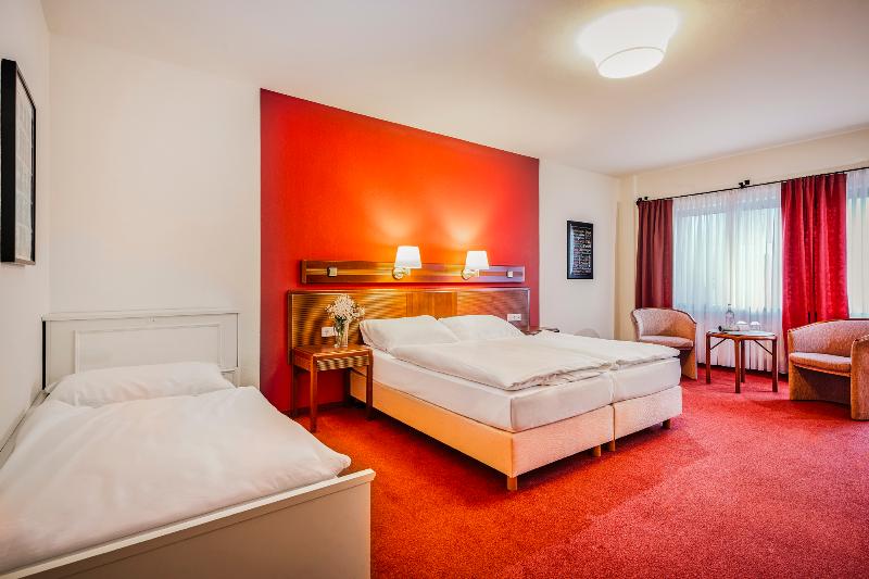 Sauerland Alpin Hotel - Oda