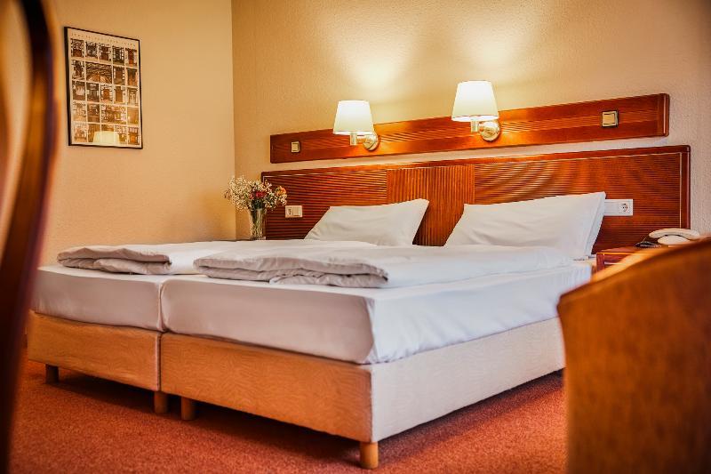 Sauerland Alpin Hotel - Oda
