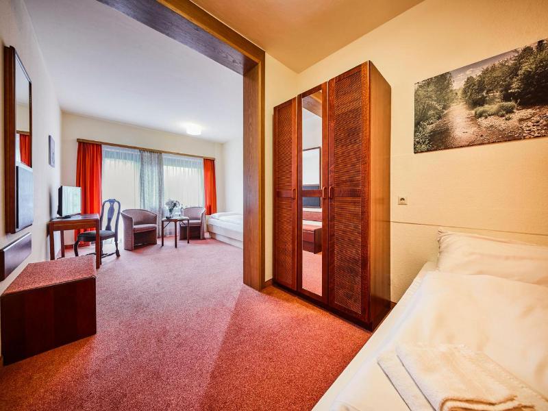 Sauerland Alpin Hotel - Oda