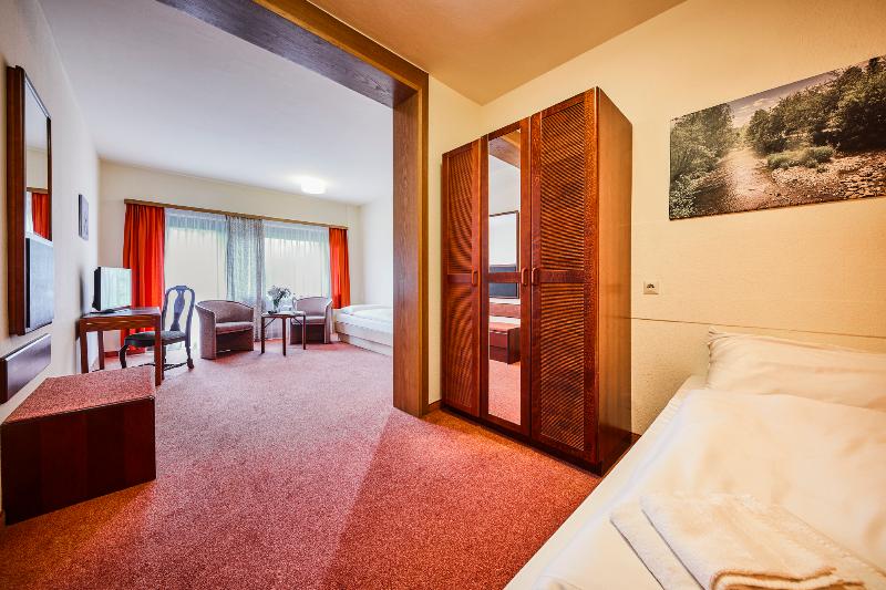 Sauerland Alpin Hotel - Oda