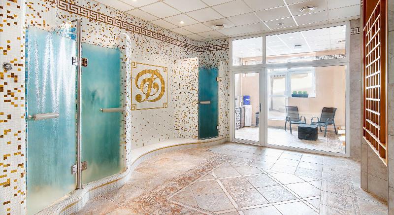 Dvorak Spa & Wellness Karlovy Vary - Aktivite