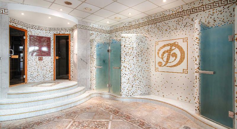 Dvorak Spa & Wellness Karlovy Vary - Aktivite