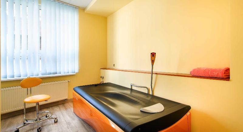 Dvorak Spa & Wellness Karlovy Vary - Aktivite