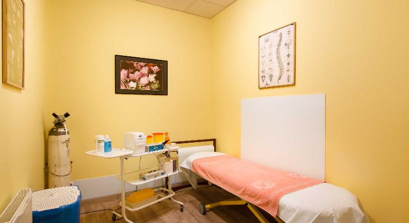 Dvorak Spa & Wellness Karlovy Vary - Aktivite