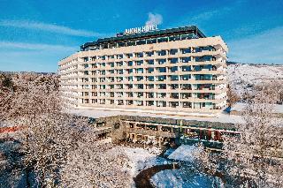 AHORN Harz Hotel Braunlage fotoÄŸrafÄ±