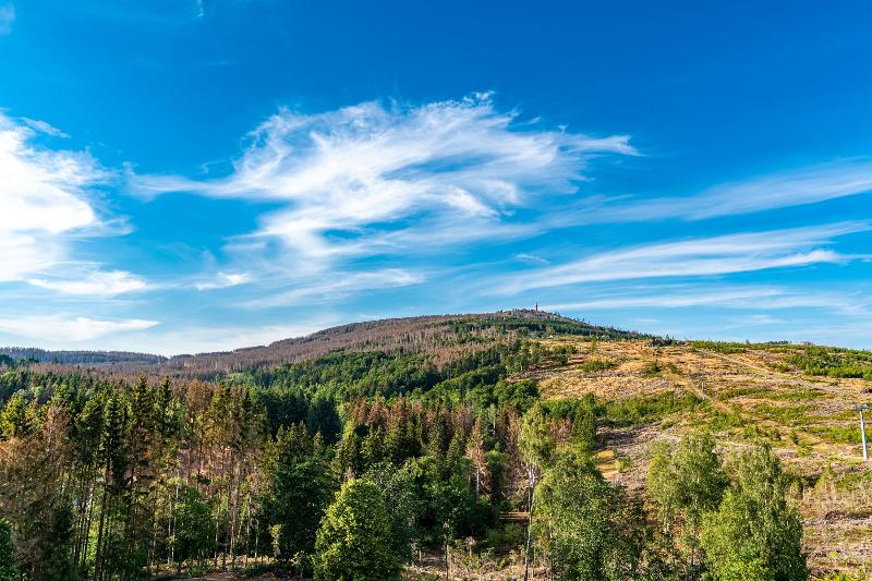 AHORN Harz Hotel Braunlage - Oda