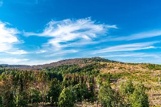 AHORN Harz Hotel Braunlage fotoÄŸrafÄ±