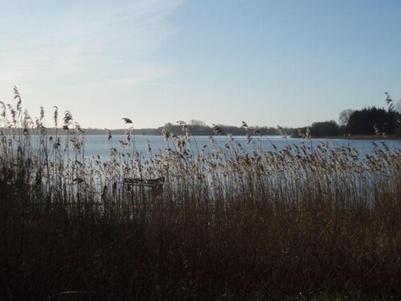 Fischerwiege am Passader See - Genel